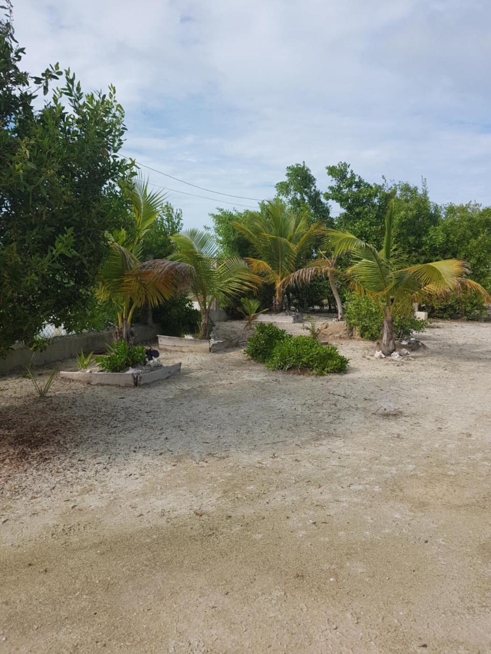 Trellis House Apartamento Cayo Caulker Exterior foto